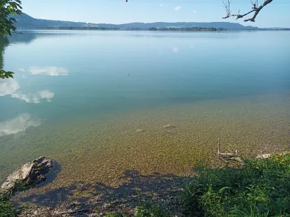 Kochelsee