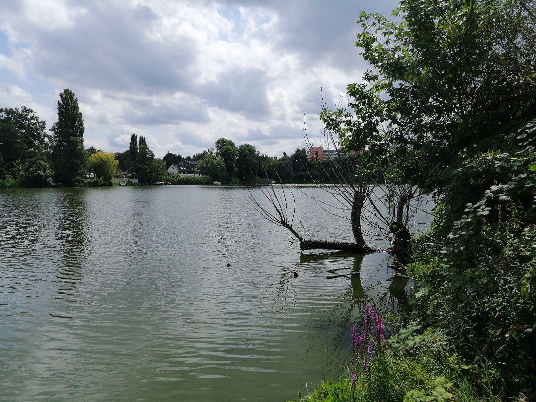 Grimnitzsee (Berlin) angeln