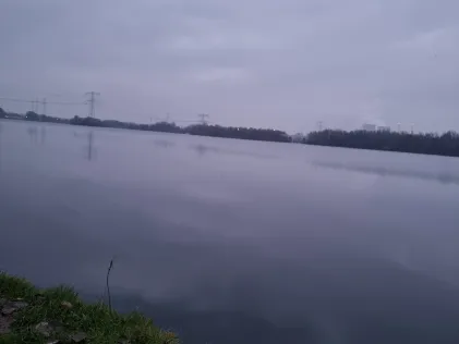 Polderveld (Wessem)