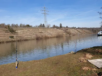 Neckar (Marbach/Benningen)