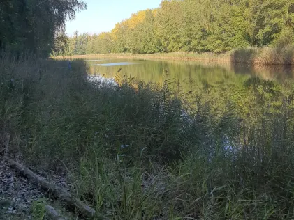 Vollert (Deuben)