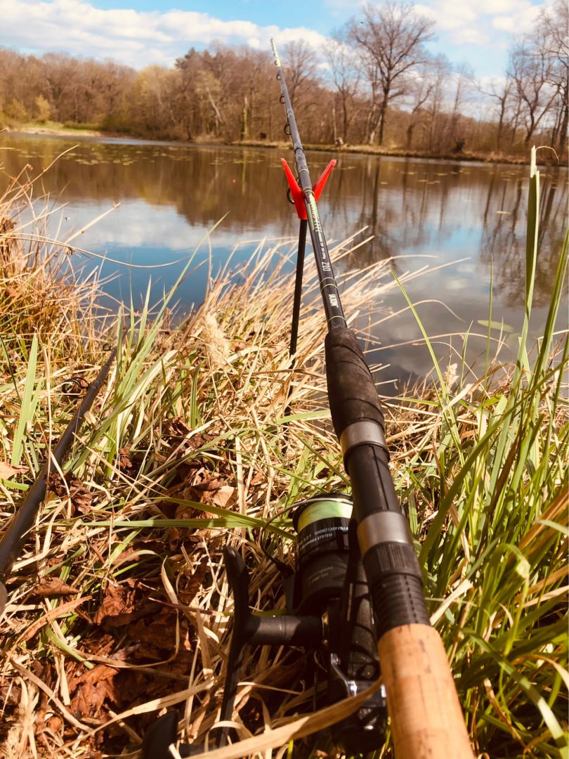 Neuer Teich (Bebertal) angeln