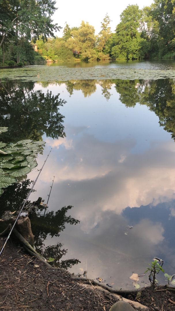Ziegelkampsee (Hemmoor) angeln