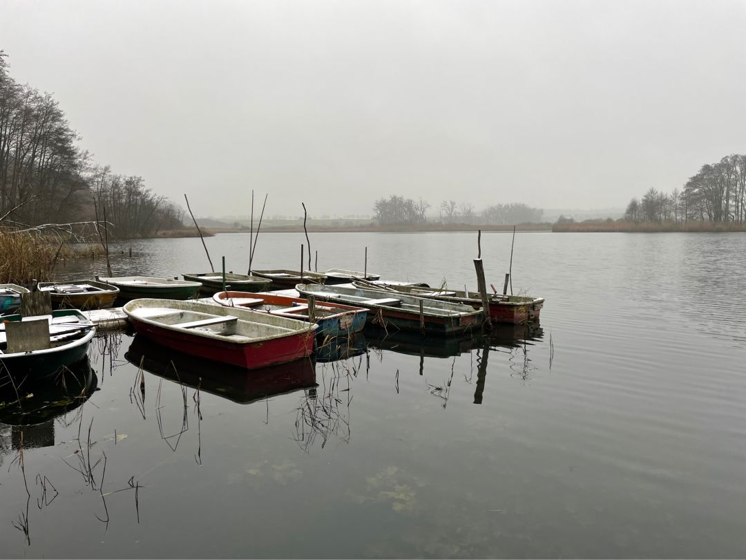 Haussee (Gerswalde) angeln