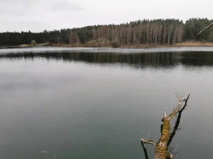 Großer Birkensee (Röthenbach)