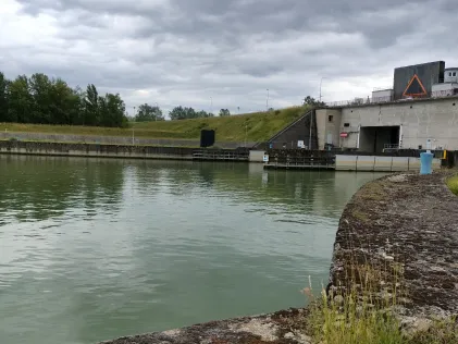 Rhein (Sasbach)