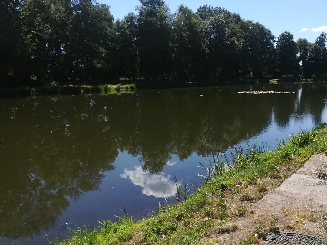 Wasserspeicher Lüffingen angeln