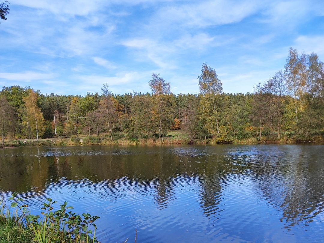 Lohmergrube angeln