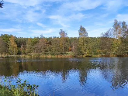Lohmergrube