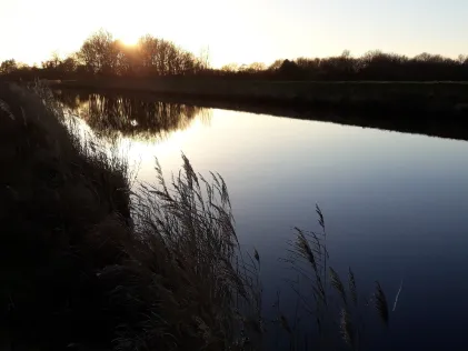 Sauteler Kanal (Moormerland)