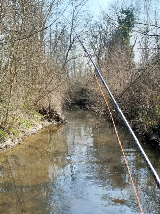 Wiesbach (Sprendlingen)