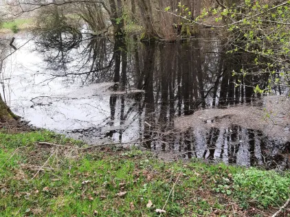 Kleiner Teich Krückaupark