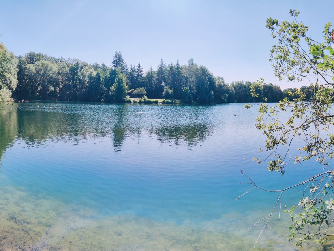 Sonnenhügelsee angeln