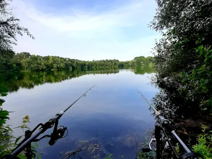 Westholtsee (Greffener Mark)