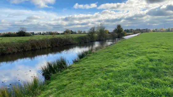 Neugrabenfleet