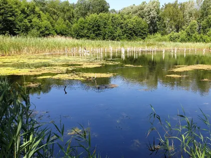 Grundwasser (Brieskow-Finkenheerd)