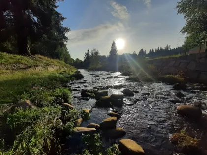 Schwarzwasser (Schwarzenberg)