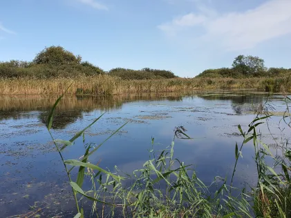 Steinkiste (Hanstorf)