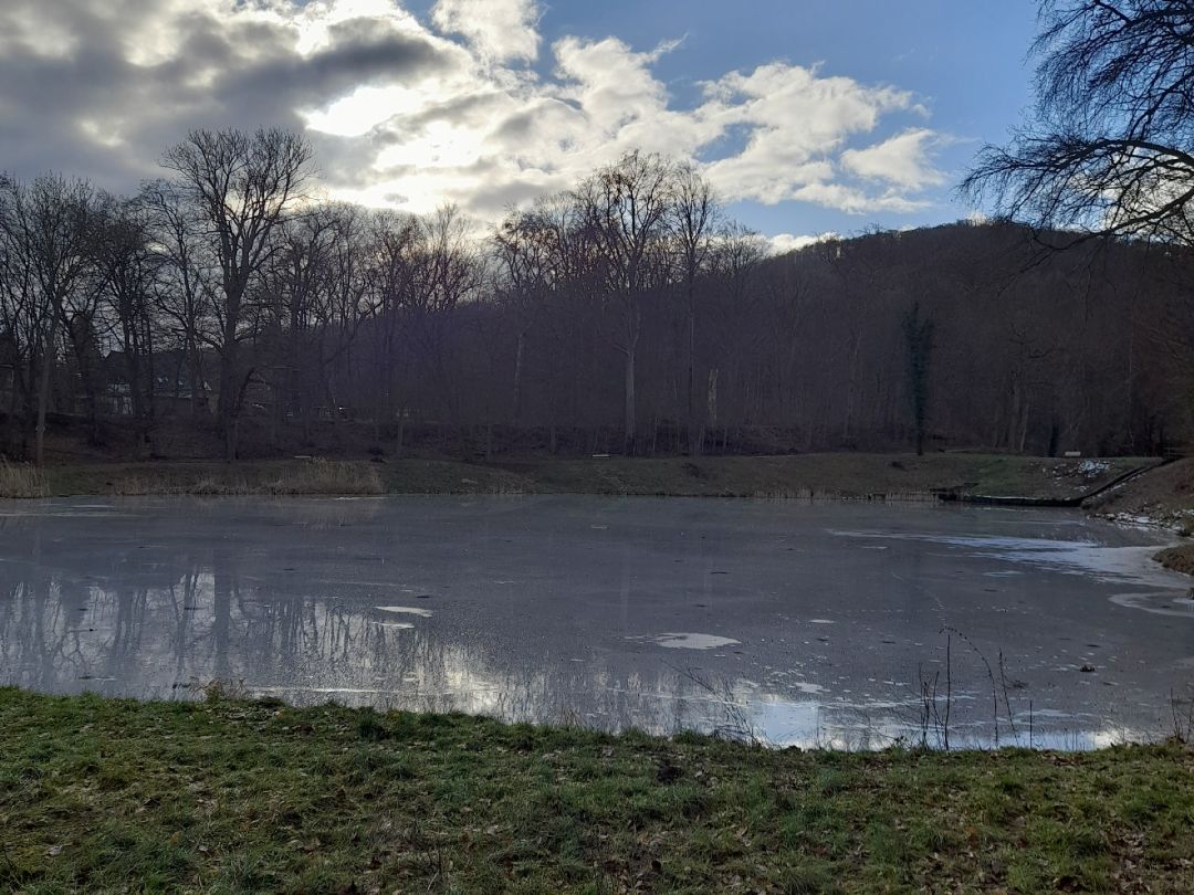 Bastteiche (Blankenburg) angeln