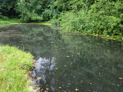 Fischzucht Jamlitz