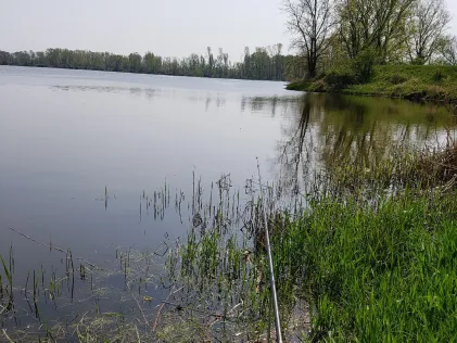Gerwischer Baggersee 1