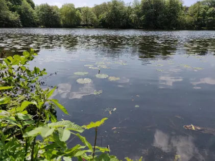 Kaiserteich (Oldenburg)