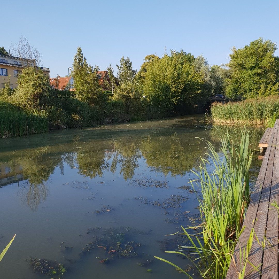 Nottekanal (Zossen) angeln