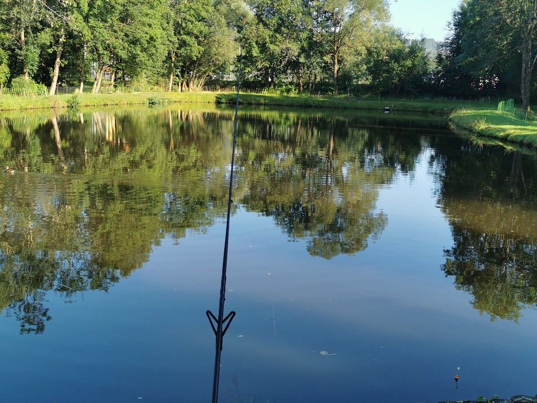 Angelweiher Frauenau angeln