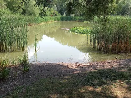 Helmsdorfer Teiche