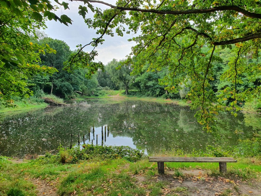 Ziegeleiteich (Jüterbog) angeln