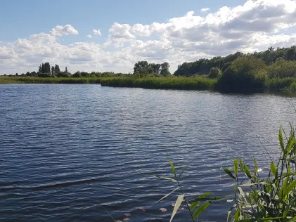 Torfstiche im Roskower Lötz