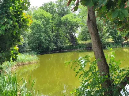 Dorfteich Lemsel
