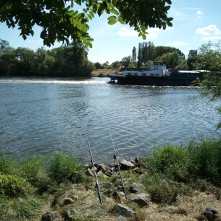 Main (Flörsheim / Rüsselsheim)