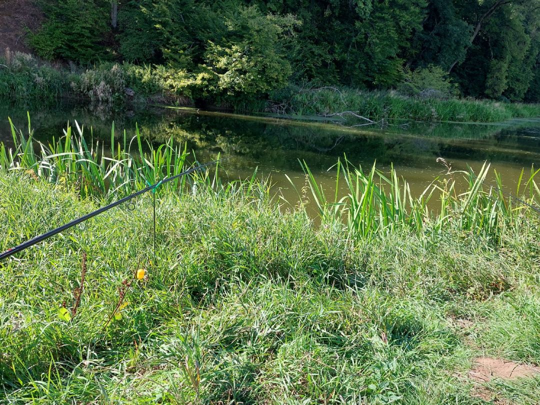 Forstgraben (Wassertrüdingen) angeln