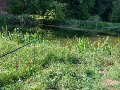 Forstgraben (Wassertrüdingen)
