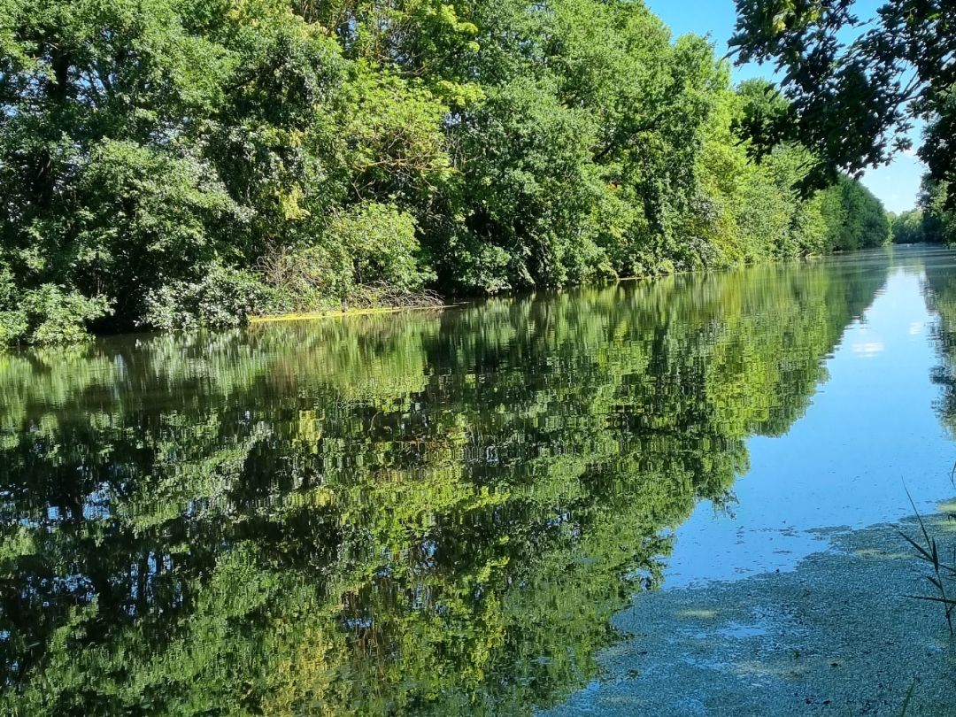 Angeln in Lüchow (Wendland)