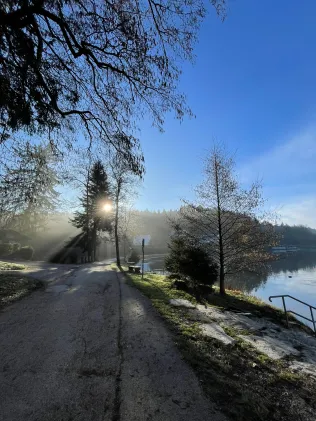 Ebnisee