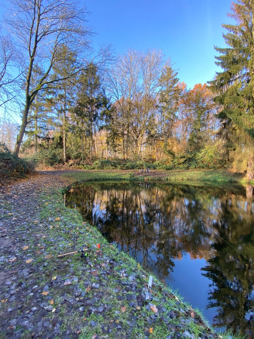 Suttorf Teiche angeln