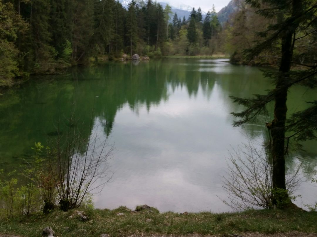 Taubensee (Ruhpolding) angeln