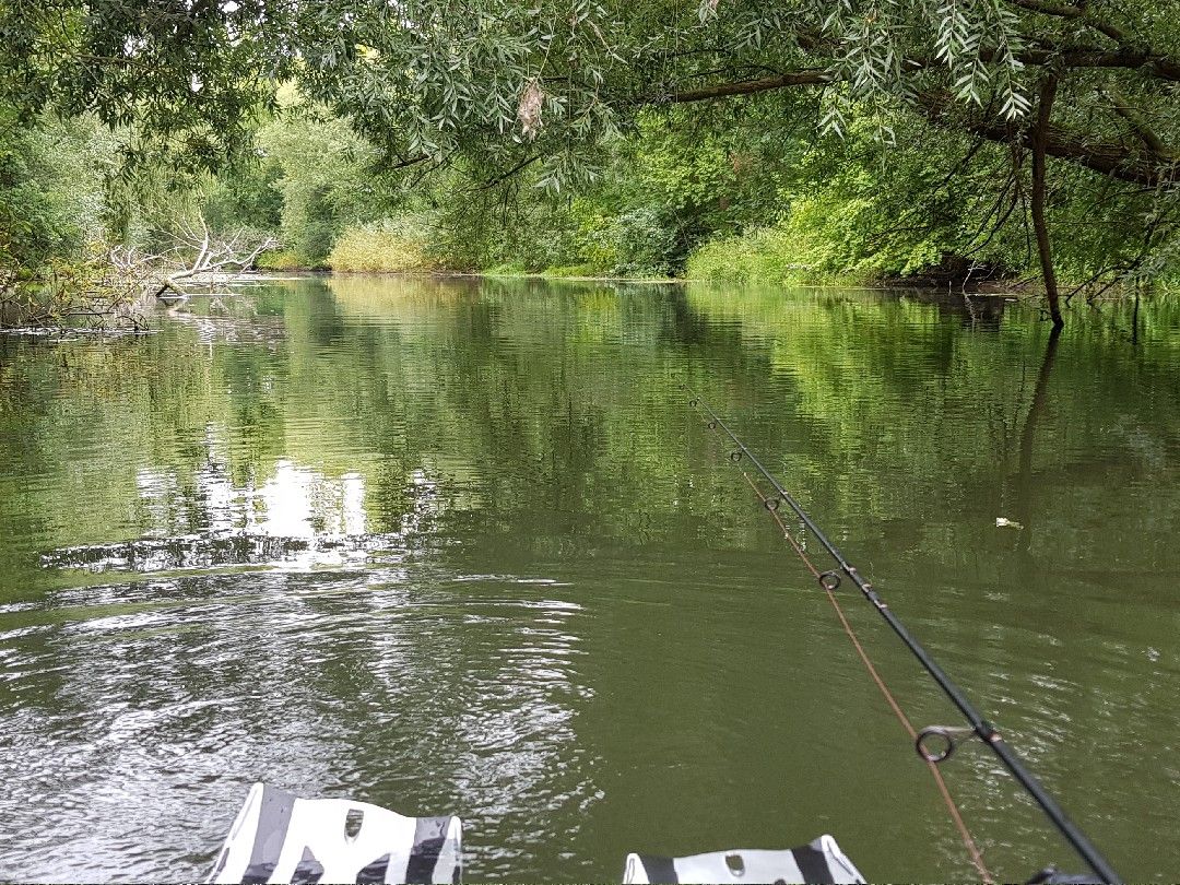 Oker (Braunschweig-Stöckheim) angeln