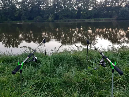 Mühlweiher (Bruck i.d. Oberpfalz)