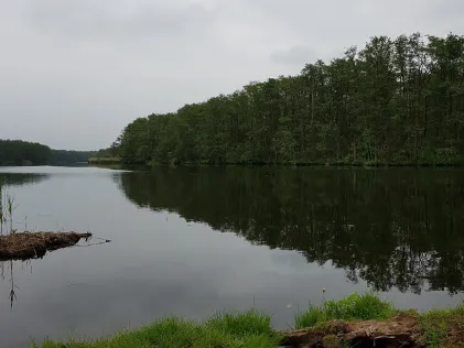 Peene (Gützkow)