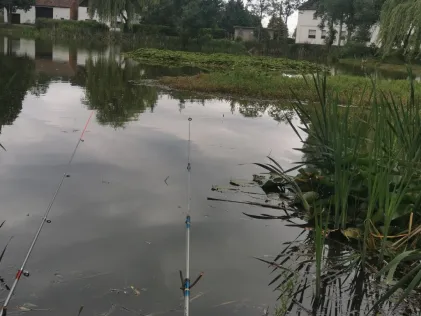 Teich Borgisdorf