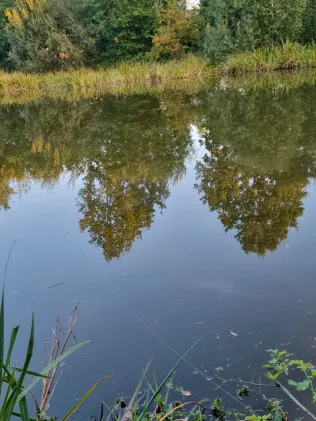 Reetteich (Reinbek)