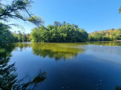 Gänsseeweiher (Bischofsheim)