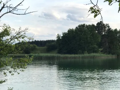 Fohnsee