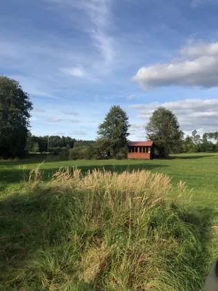 Rußhüttenweiher