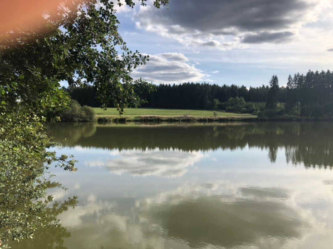 Rußhüttenweiher angeln