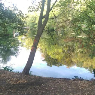 Hubertussee (Berlin)