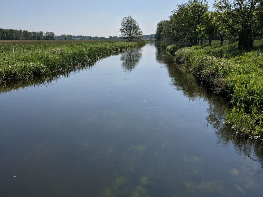 Warnow (Brüel) angeln